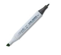 COPIC Classic YG17, Grass Green, Twin Marker avec Une Pointe Moyenne et Une Pointe Fine