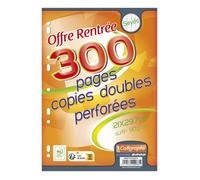 Copies doubles perforées - Calligraphe - 21x29,7 cm - 300 pages - 90g - Blanc