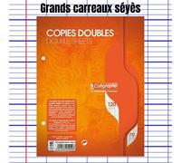 Copies doubles sous film 7000 17x22 cm 120 pages perforées 2 trous grands carreaux 70 g