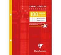 Copies doubles sous étui 17x22cm 100 pages perforées 2 trous grands carreaux