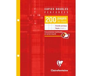 Copies doubles sous étui 17x22cm 200 pages perforées 2 trous grands carreaux