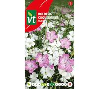 Coquelourde Milas mix Graines - Fleurs roses et blanches avec un aspect naturel.