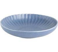 Coquillages Olympia Corallite Coupe Bleus 220 mm (6 pièces)