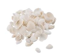 Coquilles Saint Jacques, 2-4cm Coquilles Blanches, Paquet de 180g Coquille de mer Spirales Naturelles pour Artisanat, Fabrication de Bijoux, Unités pour Cuisine Mariage de Plage DIY Décoration