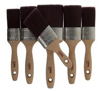 Coral Aspire 31749 Lot de 6 pinceaux Professionnels à Coupe Droite Ovale pour Une Finition Rapide et précise et Ultra Lisse avec émulsion Commerciale Bois FSC 2 x 3,8 cm, 2 x 5,1 cm, 7,6 cm, 5,1 cm