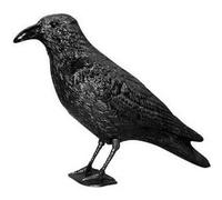 Corbeau anti-pigeons effet dissuasif Swissinno 1 582 001K pour lintérieur/extérieur G