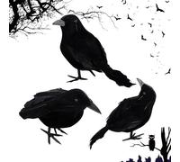 Corbeau d'halloween Décoration, 3 Pièces Corbeau À Plumes Noires, Corbeaux d'Halloween, Décoration Corbeau Noir, Corbeau Artificiel Réaliste, Corbeau Prop Décorations pour Horreur Déco d'halloween