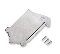 Cordier de Mandoline avec Accessoire de Remplacement d'instrument à vis (Argent)
