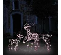 vidaXL Cordon lumineux Rennes 229 LED blanc chaud