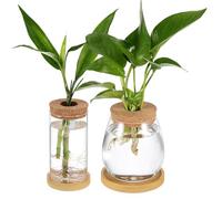 CORHAD Vases de Propagation pour Créer des Mini-Jardins Décoratifs Lot de 2 en Verre Borosilicaté avec Couvercle en Liège et Plateau pour Plantes Hydroponiques et Succulentes