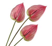 Corkwaw Lot de 3 fleurs de lys artificielles en anthurium pour décoration d'intérieur, table à manger, centre de table, décoration de fête, 83 cm, rose