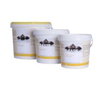 Correcteur pH Plus Piscine B-Care granulé 1 kg
