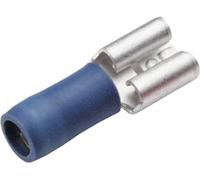 Cosse clip 2.8 mm x 0.5 mm Cimco 180236 180 ° partiellement isolé bleu