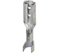 Cosse clip 2.8 mm x 0.5 mm Phoenix Contact C-SCF 1/2,8X0,5 3240152 180 ° non isolé métal 100 pc(s)