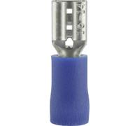 Cosse clip 4.8 mm x 0.5 mm Vogt Verbindungstechnik 3904 180 ° partiellement isolé bleu