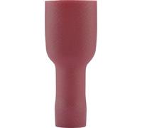 Cosse clip 4.8 mm x 0.5 mm Vogt Verbindungstechnik 396105S 180 ° entièrement isolé rouge