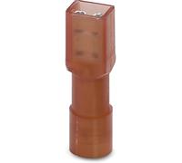 Cosse clip 4.8 mm x 0.8 mm Phoenix Contact C-SCFFI 1,5/4,8X0,8 3240537 180 ° entièrement isolé rouge 50 pc(s)