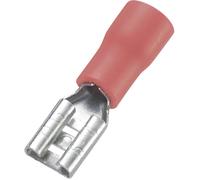Cosse clip 4.8 mm x 0.8 mm TRU COMPONENTS FDD1.25-187(8) 180 ° partiellement isolé rouge 100 pc(s)