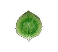 Costa Nova assiette Riviera: Assiette en grès fin en forme de feuille d’hortensia verte, glaçure craquelée, empilable, finition artisanale, compatible lave-vaisselle et micro-ondes, 21,8 x 19,1 cm