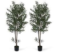 COSTWAY Lot de 2 Plantes Artificielles en Pot Hauteur 180CM, Olivier Artificiel avec Fruits et Mousses Réalistes Base Stable 2 Troncs Robuste en PE, Arbres Faux Décoration pour Salon Bureau