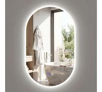 COSTWAY Miroir Salle de Bain avec Eclairage, Miroir Mural Ovale Antibuée, 3 Couleurs de Lumière, Luminosité Réglable, Fonction Mémoire, Verre Trempé, Montage Verticale/Horizontale (80 x 50 cm,Style 2)