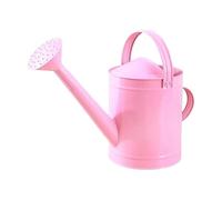 CoudarTitie Arrosoir Métal 4L Pot à Eau Jardin Poignée Ergonomique Grande Capacité Bec Fin Detachable Fer Résistant à La Adapté Plantes D'Intérieur, Rose