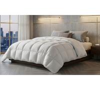 Couette 100% plumes de canard : 140 x 200 cm