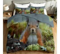 Couette 140 x 200 cm Été en Douce et Confortable Microfibre, Édredon Lit 1 Personne, Moderne Forêt Pastoral Animal Écureuil, Couette Été Légère et Respirante pour Enfants et Adulte, Multicolore