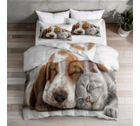 Couette 240x220 cm Imprimée Chien de Chasse Chaton Gris Animaux de Compagnie - Gros Plan Réversible Toutes Saisons avec 2 Taie d'oreiller 65x65 cm - 1 Personne, Lavable en Machine, Coloré