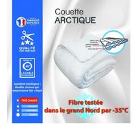 Couette - Arctique - 200 x 200 cm - Pour lit 90 x 190 cm à 120 x 190 cm - Chaude - Synthétique