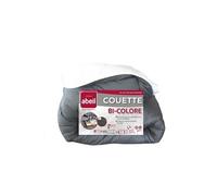 Couette Bicolore - 200 x 200 cm - Blanc et gris