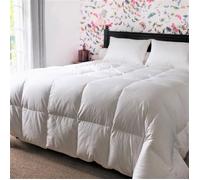 Couette - CASTEX COUETTES NATURELLES - 240x220 cm - 90% Duvet de Canard - Bithermique - Anti-acariens