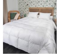 Couette - CASTEX COUETTES NATURELLES - Oie - 250 g/m² - Blanc - Chaude - 140x200 cm