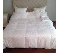 Couette - CASTEX COUETTES NATURELLES - Plumes et duvet de canard - Légère - Blanc - 280x240 cm