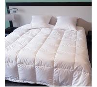 Couette - CASTEX - Duvet Oie - 280x240 cm - Anti-transpirante - Légère - Respirante
