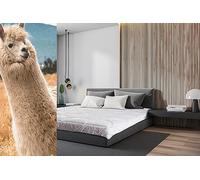 Couette Classique en Laine mérinos avec Housse de Couette en Coton Blanc + garnissage en Laine de 8-10,5 tog 400 g/m² Poids Moyen (220 x 240 cm)