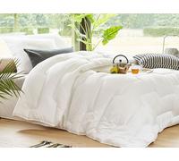 Couette colas normand anti acariens greensphere 200x200cm