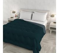 Couette d’Hiver Zoe Made in Italy Bicolore Double Face, édredon Garni 250 g - lit Double 250x250 cm - Lavable en Machine - Canard/Sauge