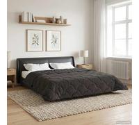 Couette d'hiver 200 x 200 cm anthracite avec microfibre et polaire en peluche, couette pour nuits froides, respirante, douce, durable, lavable en machine