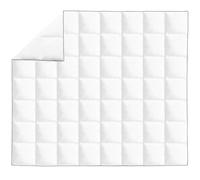 Couette d'hiver 240 x 220 cm, housse en microfibre avec plumes de canard et garnissage en duvet, lavable jusqu'à 40 °C, couette respirante pour les chaudes nuits d'hiver, rembourrage léger en