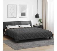 Couette d'hiver - VIDAXL - Duvet d'hiver - Microfibre - 240 x 260 cm - Matelassé Oeko-Tex
