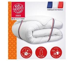Couette DODO CHAMPS DE LIN 200x200 cm chaude 450 g/m² anti-acariens blanc Blanc G