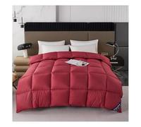 Couette en Duvet Confort Hiver, Tres Chaude Épais Garnissage, 150/180/200/220 1/2 Personne Couette pour L’Hiver, Plumes d'oie et Duvet Doux et Moelleux (Rouge,220x240cm(5kg))