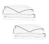 Vidaxl Couette En Duvet D'hiver 2 Pcs 135 X 200 Cm