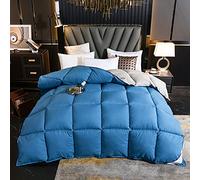 Couette en duvet d'oie et plumes 95 % duvet d'oie blanche de haute pureté, housse en coton haute densité, anti-plis, anti-poussière et anti-allergique (bleu, 200 x 230 cm, 4 kg)