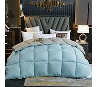 Couette en duvet d'oie et plumes 95 % duvet d'oie blanche de haute pureté, housse en coton haute densité, anti-plis, anti-poussière et anti-allergique (bleu eau, 220 x 240 cm, 3 kg)