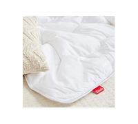 Couette Epeda Aloe Vera hiver anti-acariens 260x240