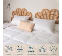 Couette Été - 90% Duvet d'Oie - 140x200 cm