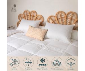 Couette Été - 90% Duvet d'Oie - 240x220 cm