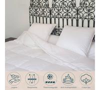 Couette fine fraicheur Canard - 240 x 220 cm